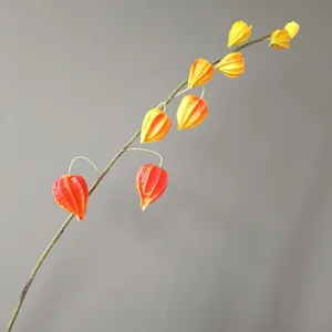 Détail de branche de lanterne chinoise en PU artificiel, belle déco d'automne colorée.