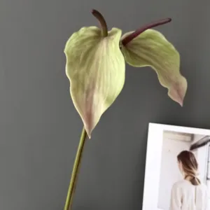 Artificial Anthurium flower simulation plant home wedding decor detail pink green