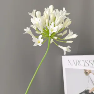 Stelo di fiore di Agapanto bianco artificiale singolo vista dettagliata per decorazioni per la casa