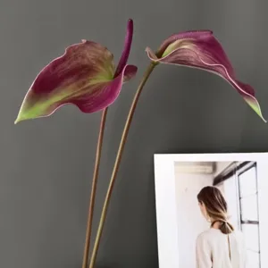 Artificial anthurium flower detail shot, purple and green gradient, realistic touch for home decor.