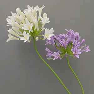 Primo piano dettaglio di stelo di fiore Agapanthus artificiale, esposizione decorativa.