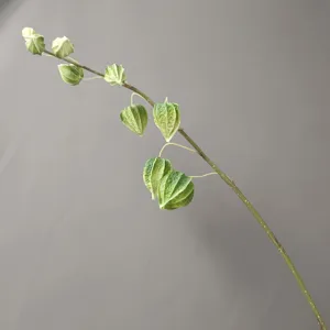 Branche de physalis artificiel en PU décoration d'intérieur moderne ornement botanique