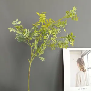 Dettaglio in primo piano di un ramo di foglie di moringa islandese artificiale, fogliame verde.