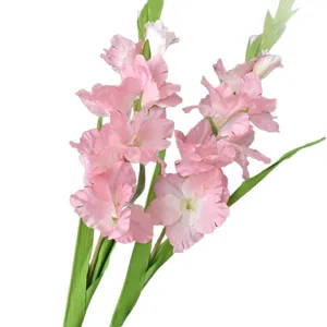 Artificial pink gladiolus long branch fake flowers for home wedding party floral decor display