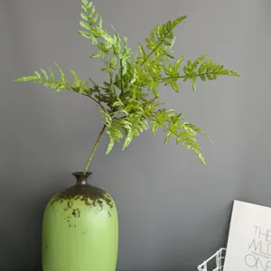 Primo piano di foglia di felce artificiale, fogliame verde morbido per arredamento casa.