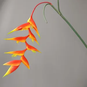 Rama de flor de Heliconia colgante artificial para la decoración de hogar hotel boda.