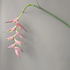 Flor artificial colgante de heliconia de goma blanda rama larga para decoración de hotel.