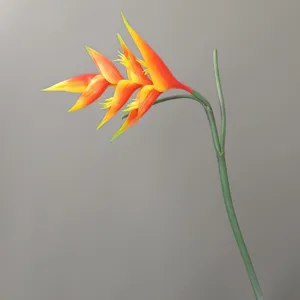 Künstliche tropische Paradiesvogelblume Weichkleber Kunstpflanze für Heim Hotel Dekor Detail