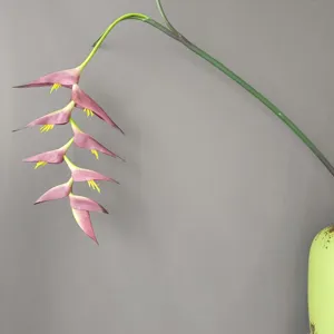 Flor de heliconia artificial colgante de goma suave rama larga para decoración de bodas.