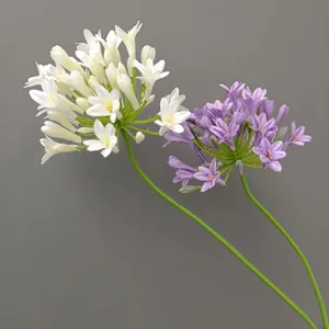 Dettaglio stelo di fiore di Agapanto artificiale, decorazione floreale realistica casa nozze.