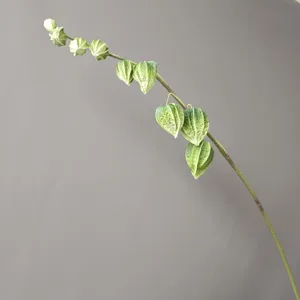 Vue de détail en gros plan d'une branche artificielle de physalis vert pour la décoration.