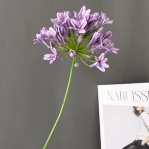 Dettaglio stelo di fiore di agapanto viola artificiale, elegante decoro floreale per la casa.