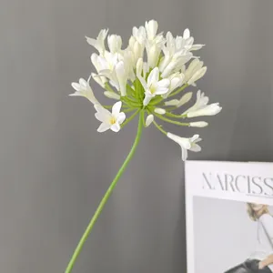 Primo piano dello stelo di agapanto bianco artificiale, decorazione floreale casa.