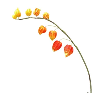 Branche artificielle de physalis en PU pour déco maison moderne, tige de plante orange réaliste.