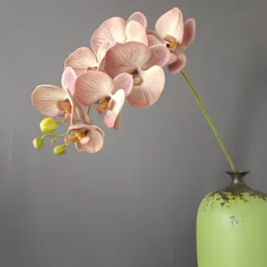Ramo di fiori di orchidea Phalaenopsis artificiale con vaso in ceramica per decorazione
