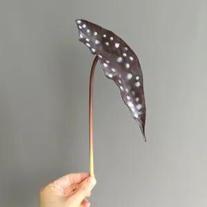Artificial PU begonia maculata leaf detail, realistic polka dot design for Nordic home decor.