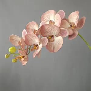 Primo piano dettagliato di ramo di orchidea phalaenopsis artificiale in rosa Morandi.