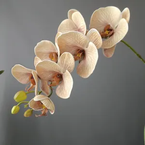 Primo piano di rami di orchidee phalaenopsis artificiali con petali e boccioli delicati.