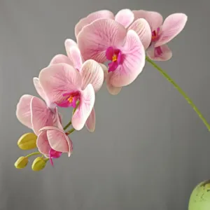 Primo piano dettaglio di ramo di orchidea phalaenopsis rosa artificiale, decoro in silicone.