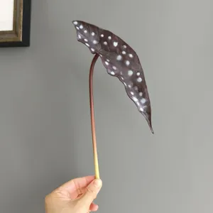 Close-up detail of artificial PU polka dot begonia leaf, realistic texture for decor.