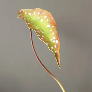Artificial PU trout begonia leaf branch single stem home decor photography prop plant fake green