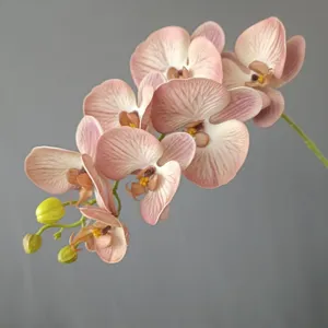 Ramo di orchidea Phalaenopsis artificiale rosa Morandi fiori di seta per decorazione casa.