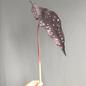 Artificial PU spotted begonia leaf for home decor photography props and interior styling