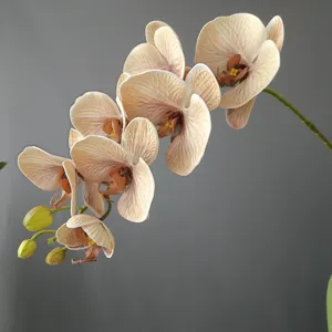 Primo piano ramo di orchidea phalaenopsis finta, 7 teste in silicone, tono Morandi.