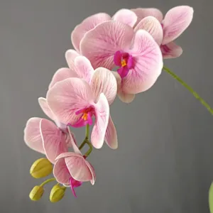 Ramo di fiori di orchidea phalaenopsis rosa artificiale per decorazioni casa e matrimonio.