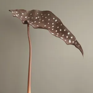 Artificial begonia leaf decor plant prop for home hotel interior design detailing display
