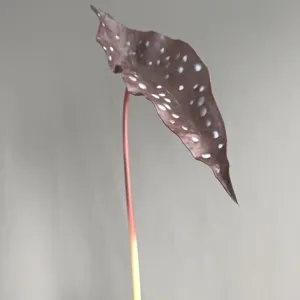 Detail view of artificial PU trout begonia leaf with realistic texture for modern home decor.