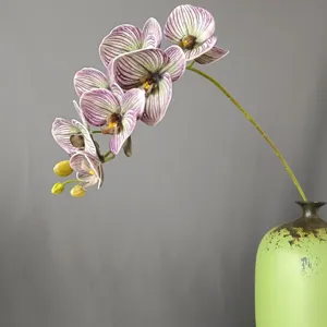 Ramo di orchidea phalaenopsis in silicone 3D realista in vaso di ceramica verde