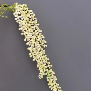 Künstliche hängende Perlenkette Sukkulente Pflanze für Wanddekoration und Hochzeitsdesign.