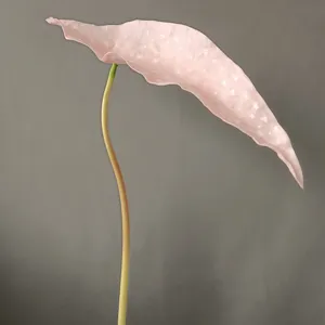 Close-up of pink artificial spotted plant leaf, realistic stem, home decor photography props.