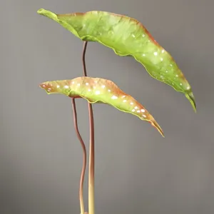 Detailed view of artificial PU begonia leaves with white spots and natural texture.