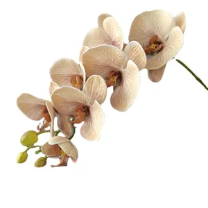 Orchidea Phalaenopsis finta 7 teste fiore artificiale per casa matrimonio beige Morandi