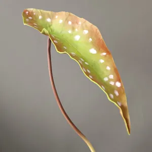 PU artificial begonia maculata leaf detail shot, decorative plant branch for home decor.