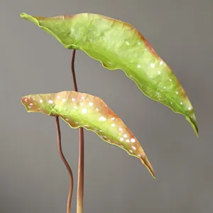 Artificial trout begonia leaf detail shot, realistic PU plant branch for home decoration.