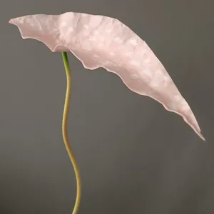 Detail close-up of a pink speckled PU decorative plant leaf, perfect for modern interior design.