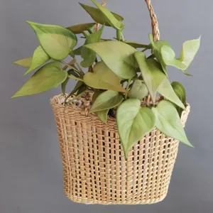 Technito Fyllo Anthurium Desmi PVC Pseytiko Fyto Skandinavianou Styl Prasina Gia Esoteriki Diakosmisi Spitiou Xenodocheiou