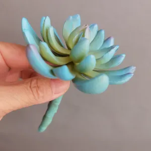 Künstliche Sukkulente Weichgummi Falsche Grünpflanzen Desktop Heimdekoration Bonsai Detail