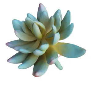 Künstliche Sukkulente Pflanze Falsche Echeveria Gummibaum Heim Dekoration Bonsai
