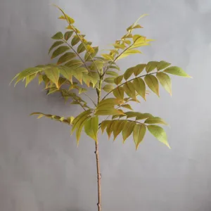 Detalle de rama de hoja artificial, diseño de impresión 3D realista para decoración.