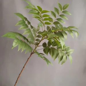 Vista detallada de rama de hojas de planta verde artificial, follaje realista para decoración hogareña.