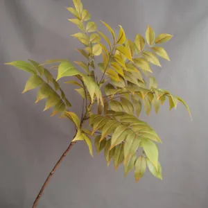 Rama de planta artificial con hojas verdes detalladas ideal para la decoración del hogar.
