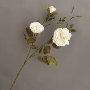 Künstliche Rosenblüten Zweig Detail, weiße Blume für Heimdekoration und Fotografie Requisiten.