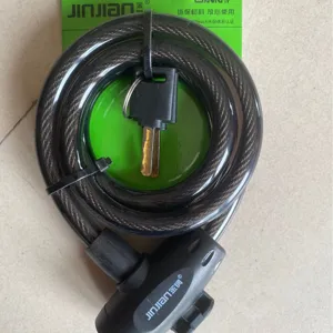 Antivol de vélo durable avec câble en acier de sécurité et clés pour la protection.