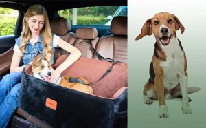 Detailed view of the pet car seat showing plush interior, safety strap, and cozy lifestyle.