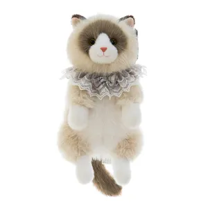 Adorable chat ragdoll peluche avec col écharpe en dentelle doux animal en peluche