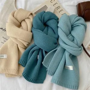 Écharpe en tricot de couleur unie style coréen pour femmes et hommes, accessoire chaud d'hiver.